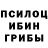 Псилоцибиновые грибы Psilocybine cubensis Volodymyr Sukhoverskyi
