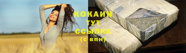 прущая мука Ельня